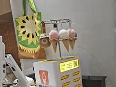 -野人先生现做冰淇淋(贵阳万象汇店)