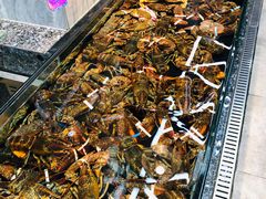 -海鲜e族(马王堆店)