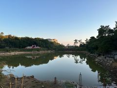 -鼓岭旅游度假区