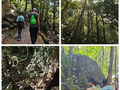 -七仙岭温泉国家森林公园