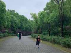 -上海海湾国家森林公园