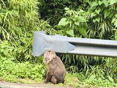 -西岭雪山大飞水景区