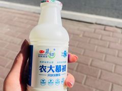-东北农业大学饺子园