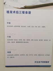 -碧莲盛·不剃发植发