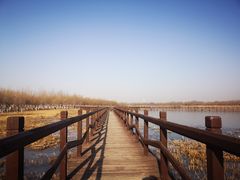 -西青郊野公园