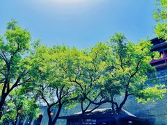 -西安城墙·碑林历史文化景区