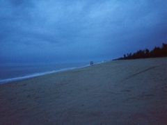 -海口绿发希尔顿酒店-田园汇自助餐·三文鱼·海鲜