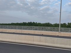 -大湾区中央湿地公园