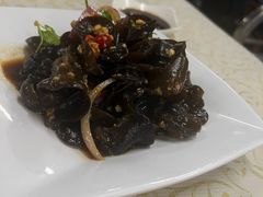 -百利鸽王(紫薇路店)