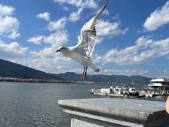 -海埂大坝