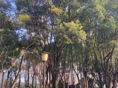 -重庆市江北嘴中央商务区中央公园