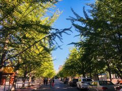 -辽宁大学(崇山校区)