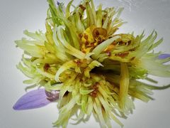 -浙里本味·宴四季江南(三台山路店)