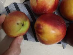 -果叔鲜果(广州广氮花园店)