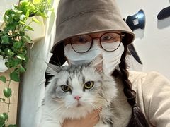 -李小姐の猫咖啡馆(五角场店)