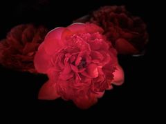 -粤界(望京金辉店)