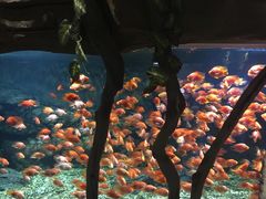 -绍兴梦享海洋公园