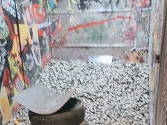 -不可思议减压馆·解压博物馆·摔碗发泄·团建定制