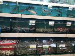 水产区-秋姐美食店(旅游大道店)