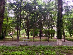 -吉林大学(南岭校区)