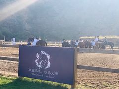 -枫露马术学院(藏书校区)