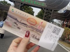 -溱湖国家湿地公园