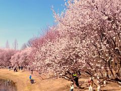 -贡宴盐帮菜自贡驻京联络处餐厅