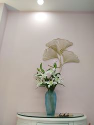 -痘庄科学祛痘皮肤管理国际连锁