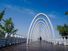 -大兴滨河森林公园