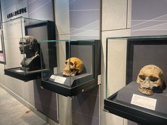 -北京周口店北京人遗址博物馆
