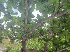 -亚龙湾海底世界