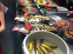 -老家信阳菜(北京路店)