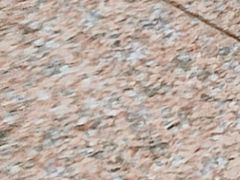 -Feiyue飞跃(长乐路店)