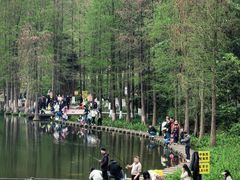 -重庆彩云湖湿地公园