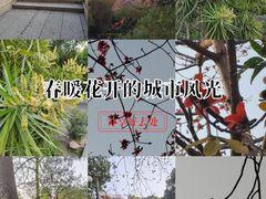 -晓港公园