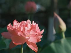 -沐仙湖湿地公园