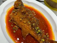 -紫光园·烤鸭·北京菜(团结湖店)