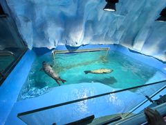 -威海华夏城景区