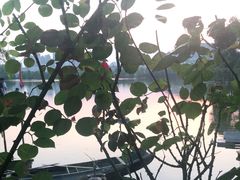 -东湖食堂·湖景餐厅•会议