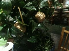 -云来居素食馆(南山店)