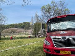 -苏州上方山国家森林公园