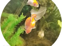 -常州海昌海洋探索馆