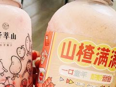 山楂满满-野萃山·潮汕厚果汁(十亩地店)