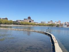 -莲花池公园