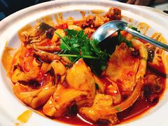 千岛湖有机胖头鱼-魏铭鱼头捞饭(晋阳路店)