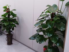 -炉小哥烤肉(信万广场店)