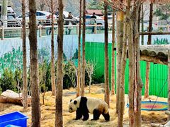 -西霞口神雕山野生动物世界