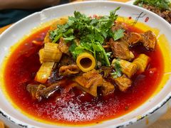 -曾牛肉