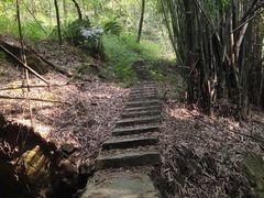 -南山植物园