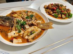 -煲来饱去冷水鱼